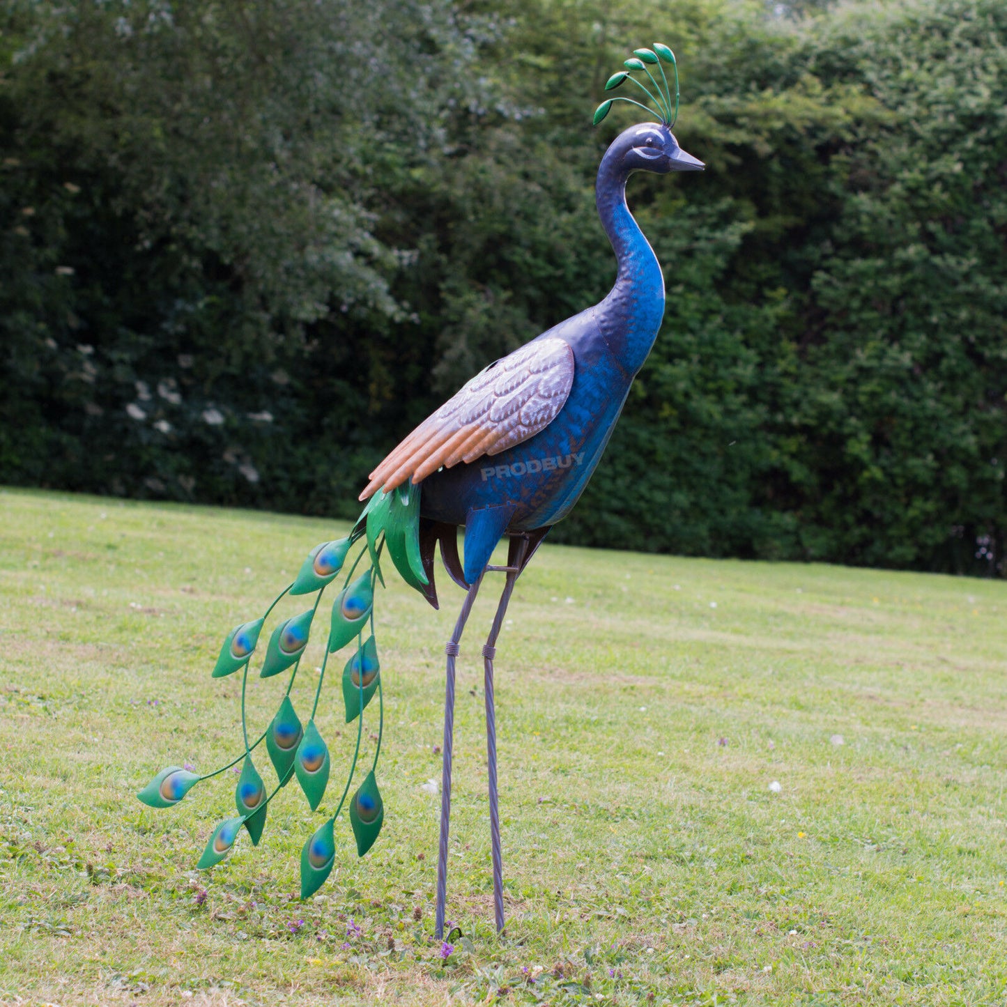 Large 100cm Blue Peacock Metal Garden Ornament