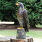 53cm Large Hawk Bird Metal Garden Lawn Ornament Outdoor Sculpture