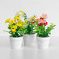 Set of 3 Small Artificial House Plants In Pots