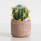 Set of 2 Small Artificial Cactus Succulents In Pots