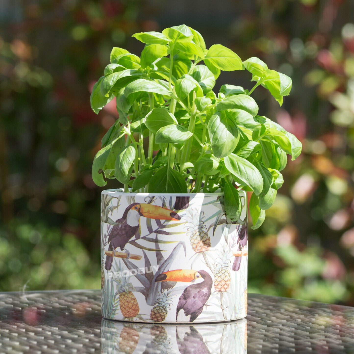 Tropical Toucan 12cm Plant Pot Small Ceramic Indoor Cover