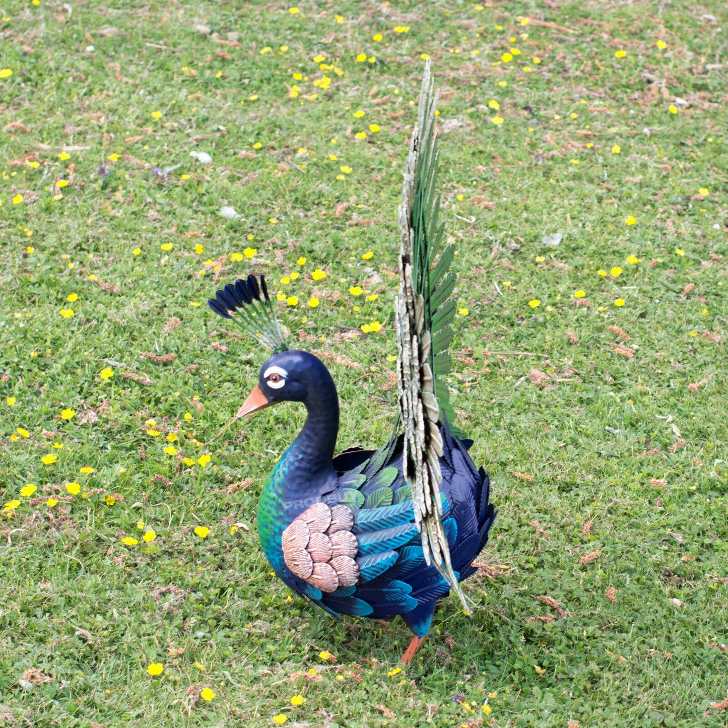 Large 65cm Exotic Peacock Metal Garden Ornament