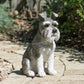 Grey Schnauzer Dog Resin Garden Ornament