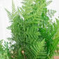 Artificial 47cm Ming Fern House Plant In Pot