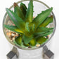 Small Artificial Cactus Succulent In Stand & Glass Pot