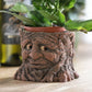 Small Smiling Tree Stump Face Plant Pot