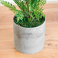 Artificial 47cm Ming Fern House Plant In Pot