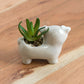 Miniature 8cm Artificial Succulent House Plant Schnauzer Dog Ornament