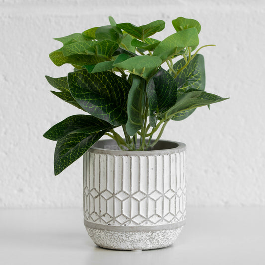 21cm Artificial House Plant in Grey Pot