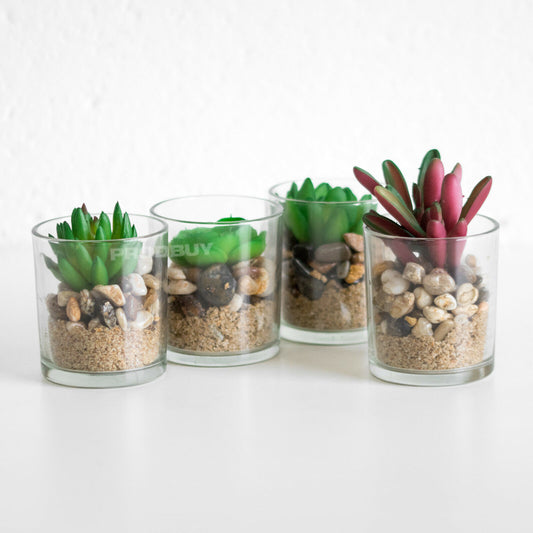 Set of 4 Small Artificial Succulents In Clear Pots