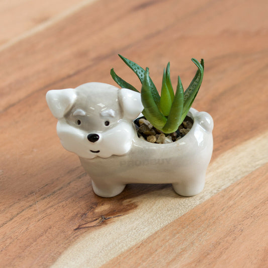 Miniature 8cm Artificial Succulent House Plant Schnauzer Dog Ornament