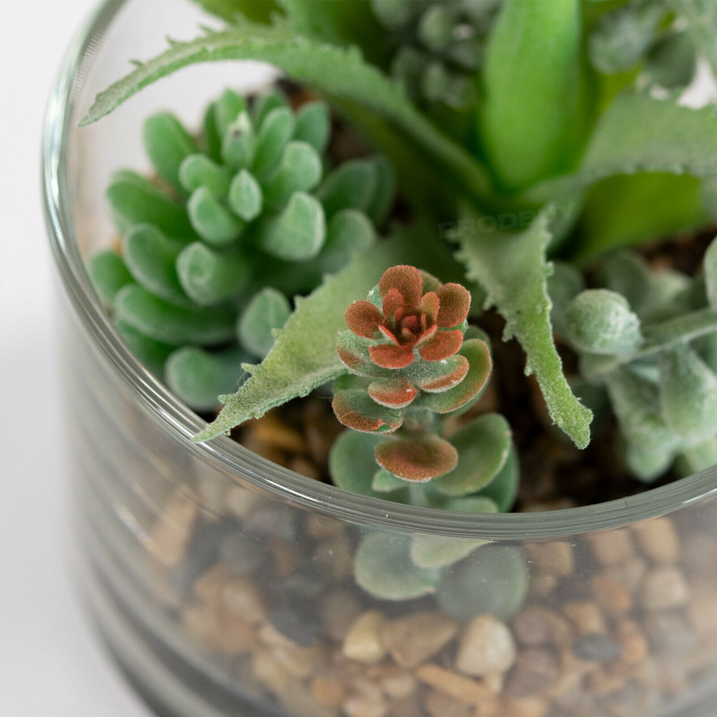 Small 11cm Artificial Succulent In Glass Pot