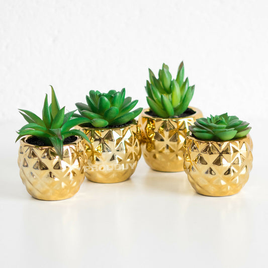 Set of 4 Artificial Succulents In Gold Pots