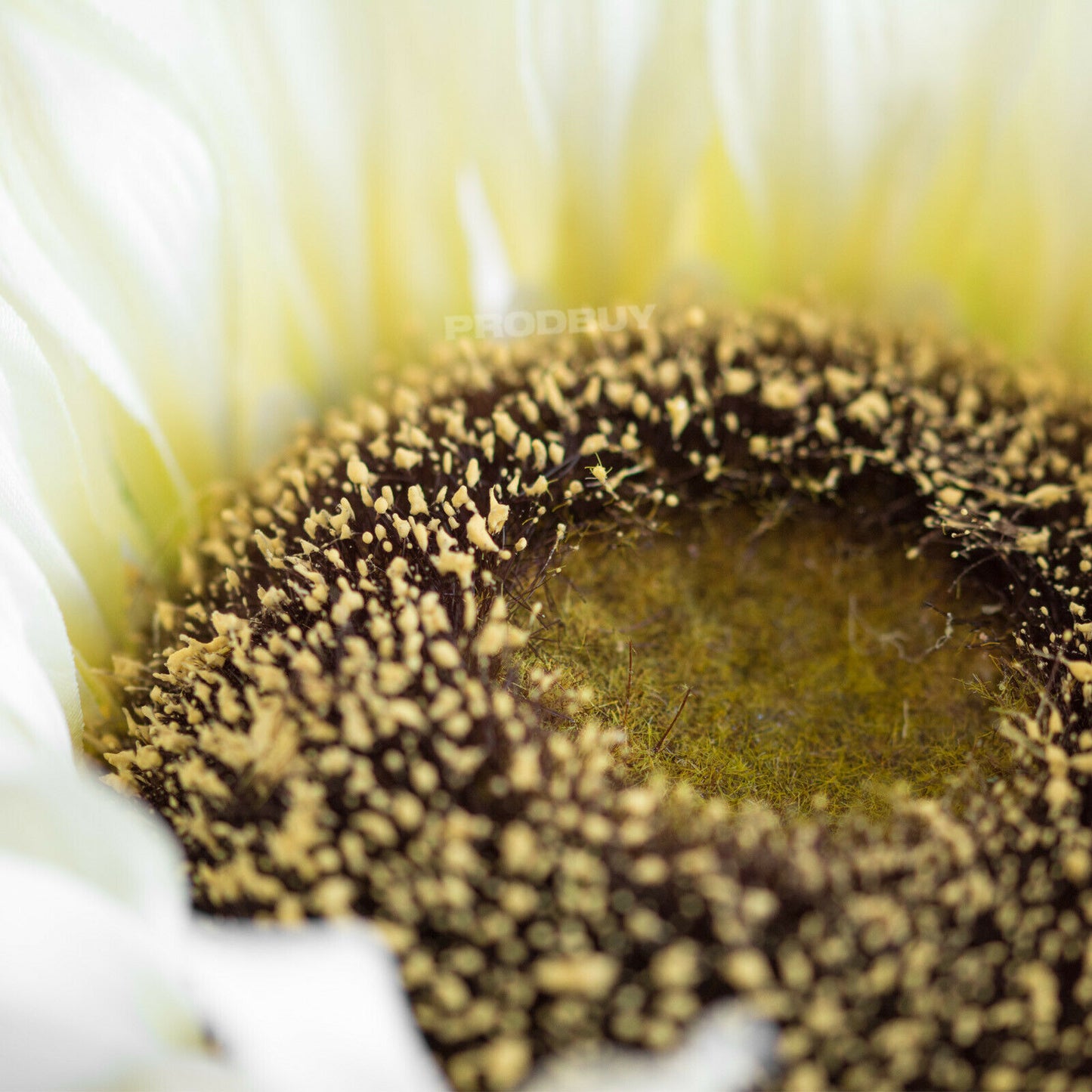 72.5cm Artificial Sunflower off White Head Indoor Flowers