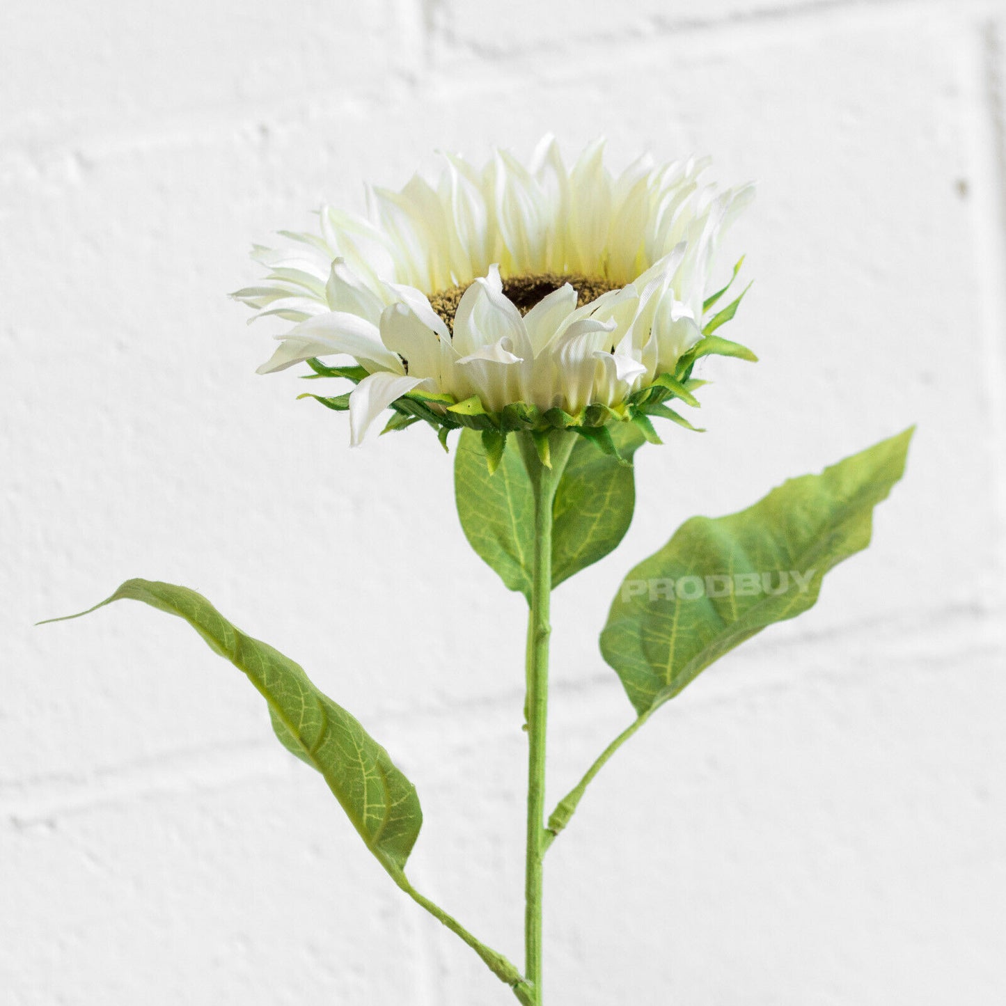 72.5cm Artificial Sunflower off White Head Indoor Flowers