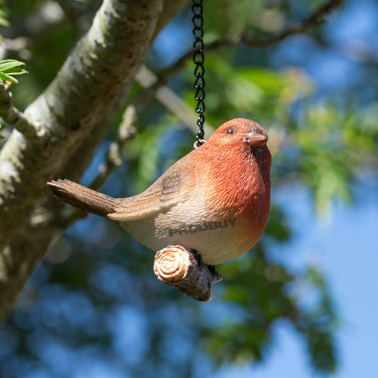 Small Robin Bird Hanging Garden Ornament