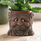 Small Smiling Tree Stump Face Plant Pot