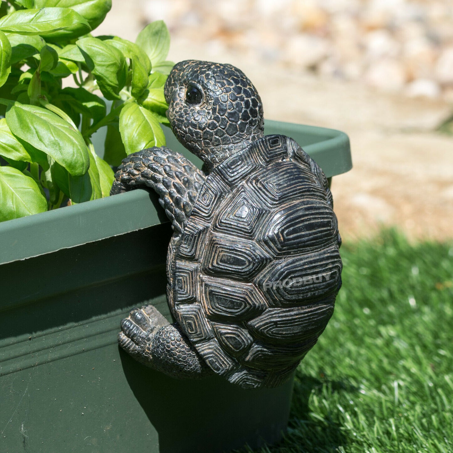 Tortoise Plant Pot Hanging Ornament Cute Unique Hanger