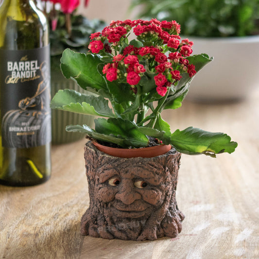 Small Smiling Tree Stump Face Plant Pot